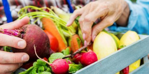 Zahradníci budou moci otevřít plodinu z jejich země
